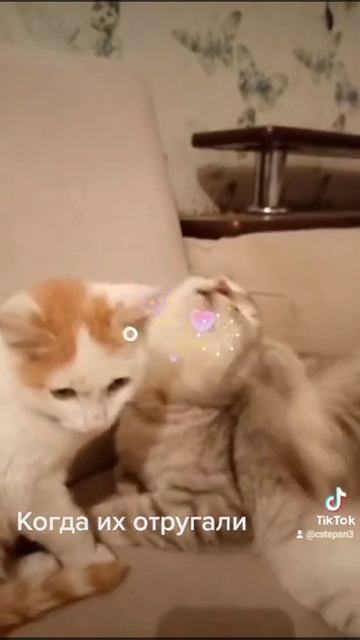 А мне по-феншую! смотреть онлайн