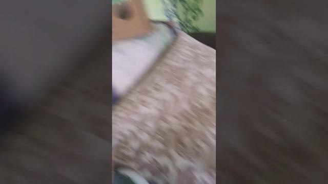 у нас есть Хаус в тг,я гл админ.milk.hamster.haysнабор открыт смотреть онлайн