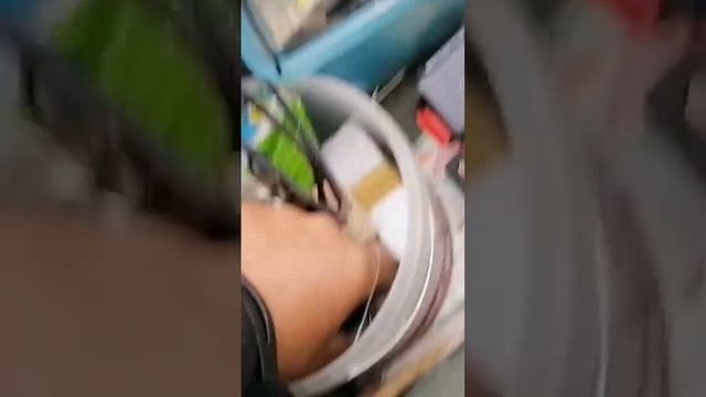 Угадал вес сазана. Идеальная рыбалка в Астрахани. смотреть онлайн