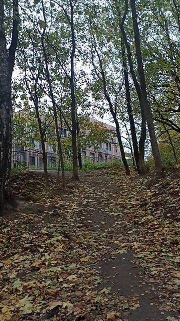 12 октября 2023 года. Ненастная погода. 12-14 градусов. См. д? смотреть онлайн