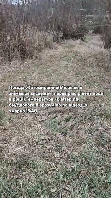 Погода Житомирщина(день 5)26 січня.Час 15:40.#погода смотреть онлайн
