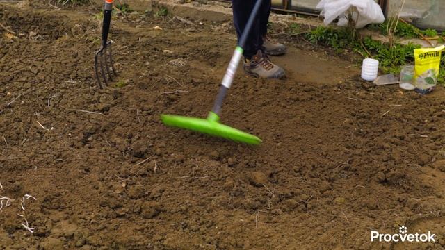 ПОСЕЙТЕ ЭТИ ЦВЕТЫ СРАЗУ В ГРУНТ, и уже в июне у вас будет клумба невероятной красоты смотреть онлайн