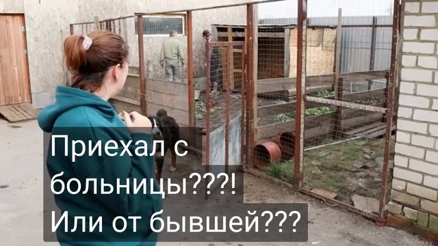 /Деревенский дневник очень многодетной мамы/Побируха! смотреть онлайн