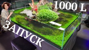 АКВАРИУМ 1000 Л ЗАПУСК | Декорации для аквариума | Высадка растений | Маша Блюм