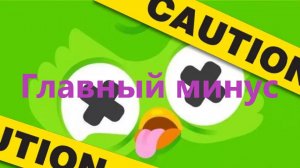 главный минус дуолинго