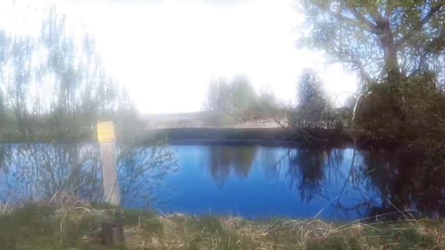 video_2025-05-12_16-26-11 смотреть онлайн