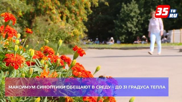 Жаркая погода продолжит радовать вологжан смотреть онлайн