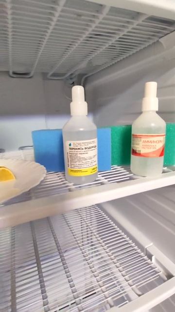 ЧТОБЫ В МОРОЗИЛКЕ ЗАПАХ СТАЛ СВЕЖИМ /КАК УБРАТЬ ЗАПАХИ смотреть онлайн