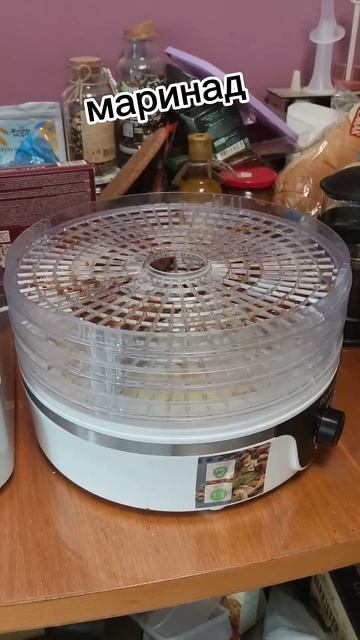 Свинные джерки к пиву #chill #сушилка #дегидратор #рецепт смотреть онлайн