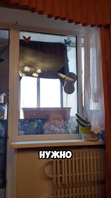 Тестирую робот мойщик окон из Чижика #чижик смотреть онлайн