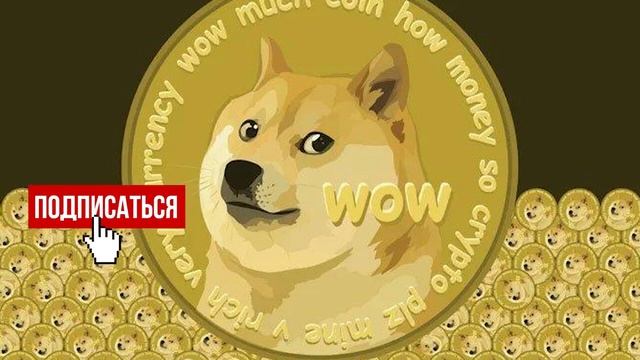 Илон Маск врывается  снова поддерживает фаворита