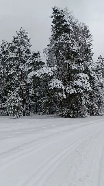 Сильные снегопады центральной части России #снегопад смотреть онлайн