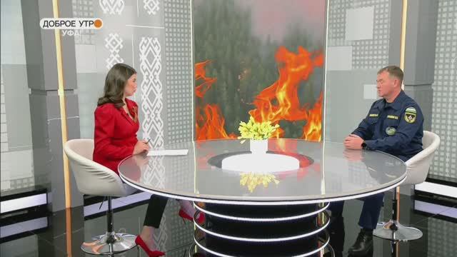 О мерах безопасности и об ограничениях в пожароопасный сезон смотреть онлайн