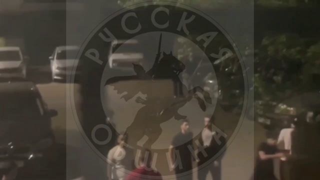 В Нижнем Новгороде подростки-южане крушили детскую площадку смотреть онлайн