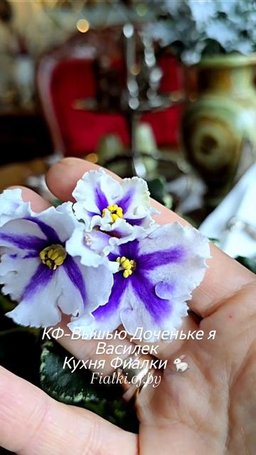 КФ-Вышью Доченьке я Василек. Пасынки прекрасно повтор смотреть онлайн