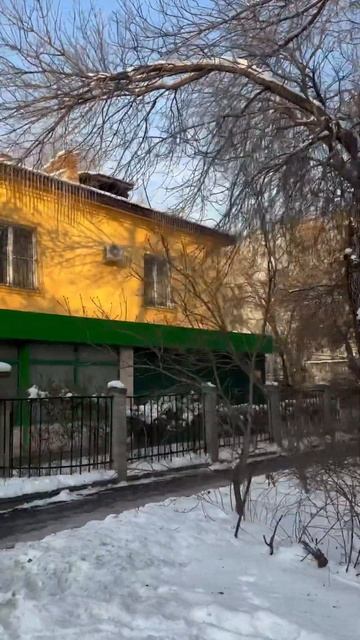Старые дома на Жарокова. 24 декабря 2024. Алматы смотреть онлайн