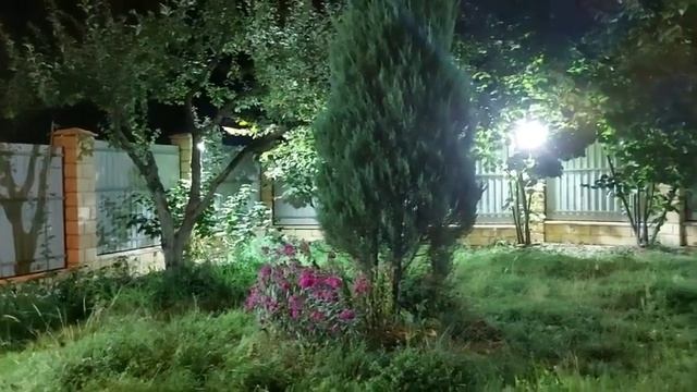 РОДОВАЯ КНИГА МЁРТВЫХ… СПАСЕНИЕ ДЛЯ МНОГИХ… ДЛЯ ВСЕ смотреть онлайн