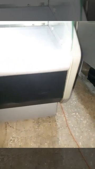 Витрина холодильная Полюс ВХС 1,5 Эко смотреть онлайн