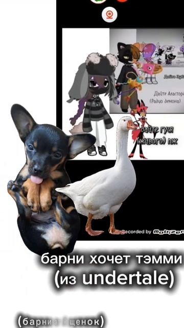 #рек #лень #актив #бравлстарс #бравлстарс #blender #brawlstars я ? смотреть онлайн