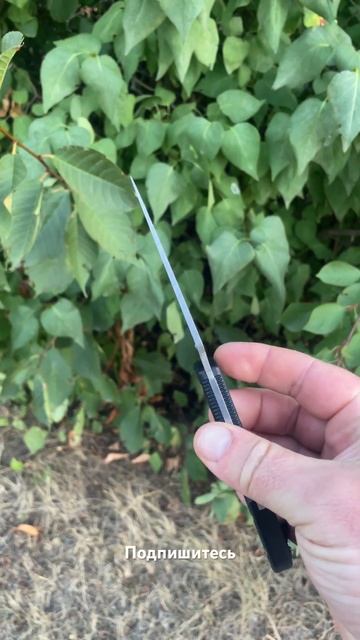 Заточка ножей #shorts #складнойнож #spyderco #enduro #edc #ножи #зат смотреть онлайн