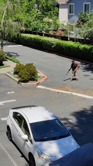 Уборка двора по-американски #shorts #уборка #уборкаучастк смотреть онлайн