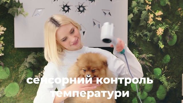 Tauro Pro Line - фен для сушіння шерсті домашніх тварин з тех? смотреть онлайн