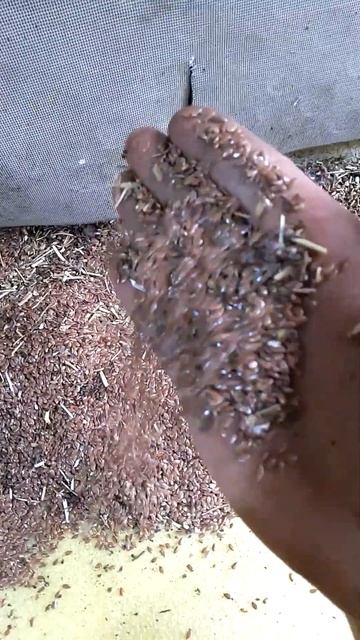 воздушный сепаратор зерна из профтрубы и цинка смотреть онлайн