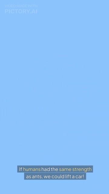 Муравьи сильнее, чем кажется смотреть онлайн