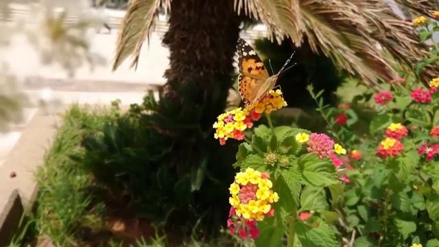 МУЗЫКА БАСАНОВА композитор АЛЕКСАНДР БАЛАКИН