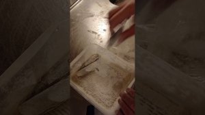 Вкуснейшая мойва - легко, в аерогриле #мойва #рецепты #а