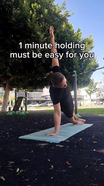 Основы тренировок с собственным весом смотреть онлайн