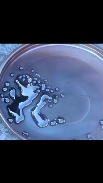 температура плавления селена смотреть онлайн