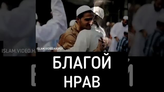 #БЛАГОЙ #НРАВ