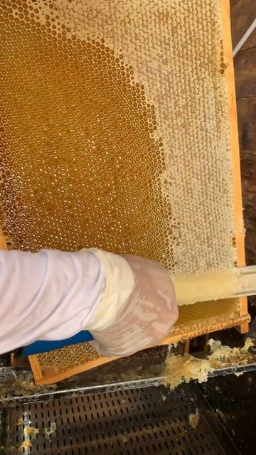 Паровой нож самодельный. Нож для забруса своими рукам? смотреть онлайн