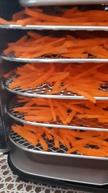 Технический разведчик