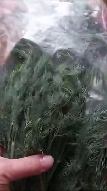 А вы приобрели ЗИП пакеты? смотреть онлайн