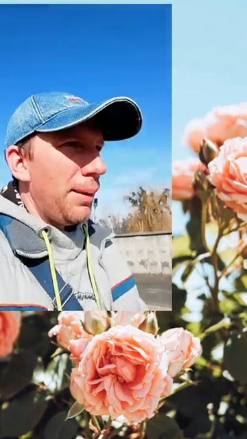 Кофе. Кофемолка. День рождение кофемолки. #кофе смотреть онлайн