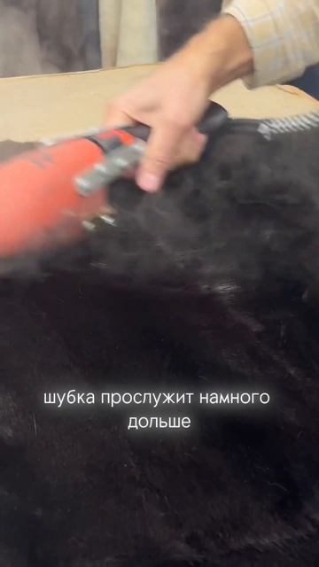 Шуба в морозильнике?! 🤯 смотреть онлайн