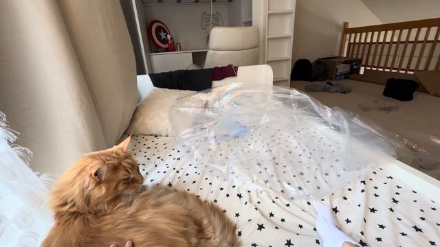 БОЛЬШАЯ СЕМЬЯ | Новый гриль | что готовим на выходных | смотреть онлайн