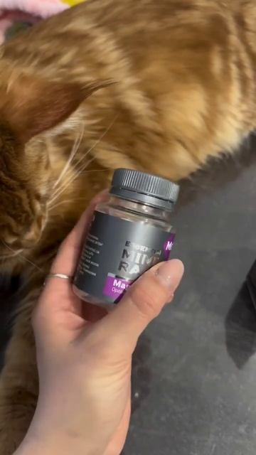 Почему стоит вес? помощники в похудении #похудение#сни смотреть онлайн