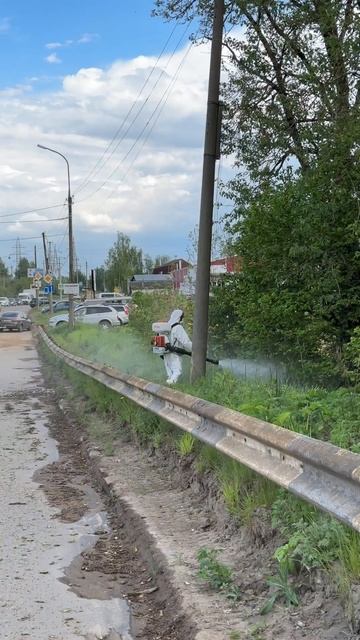 Обработка территории от борщевика в г.Вязьма  #борщеви