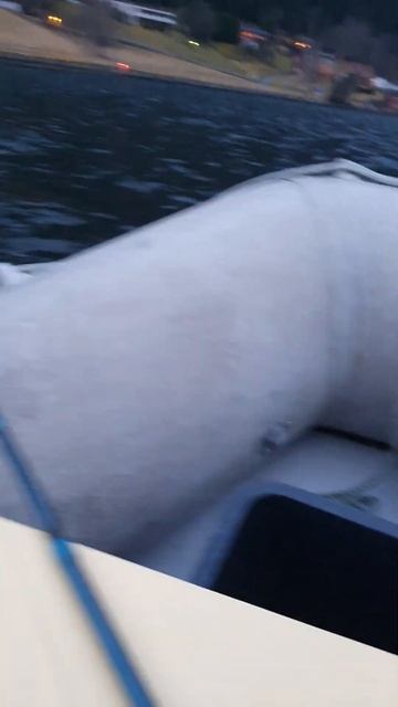 Рыбалка и погода в Норвегии. Гидрометцентру неуд. смотреть онлайн