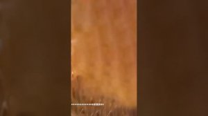 5 января 2024 г.