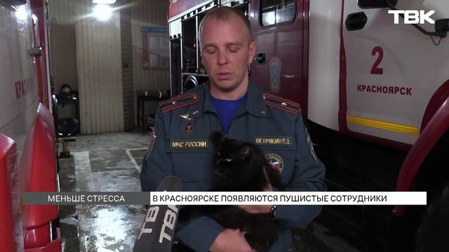 Новости ТВК 25 октября 2024: повышение ключевой ставки, б? смотреть онлайн