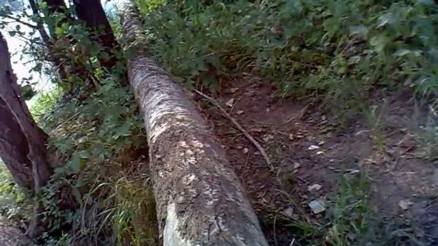 горностай смотреть онлайн