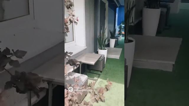 Летнее озеленение веранды в офисе компании смотреть онлайн