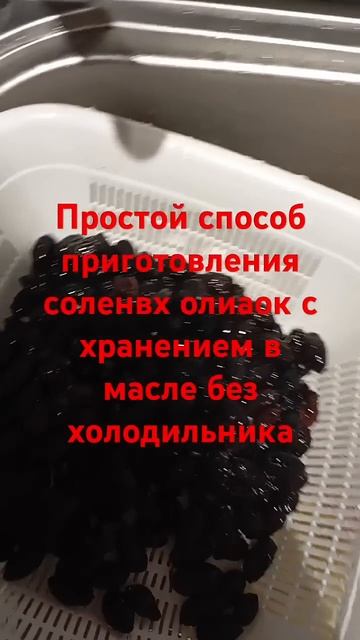 Простой способ приготовления соления оливок в масле б смотреть онлайн