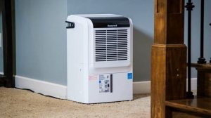 Как выбрать осушитель воздуха для квартиры