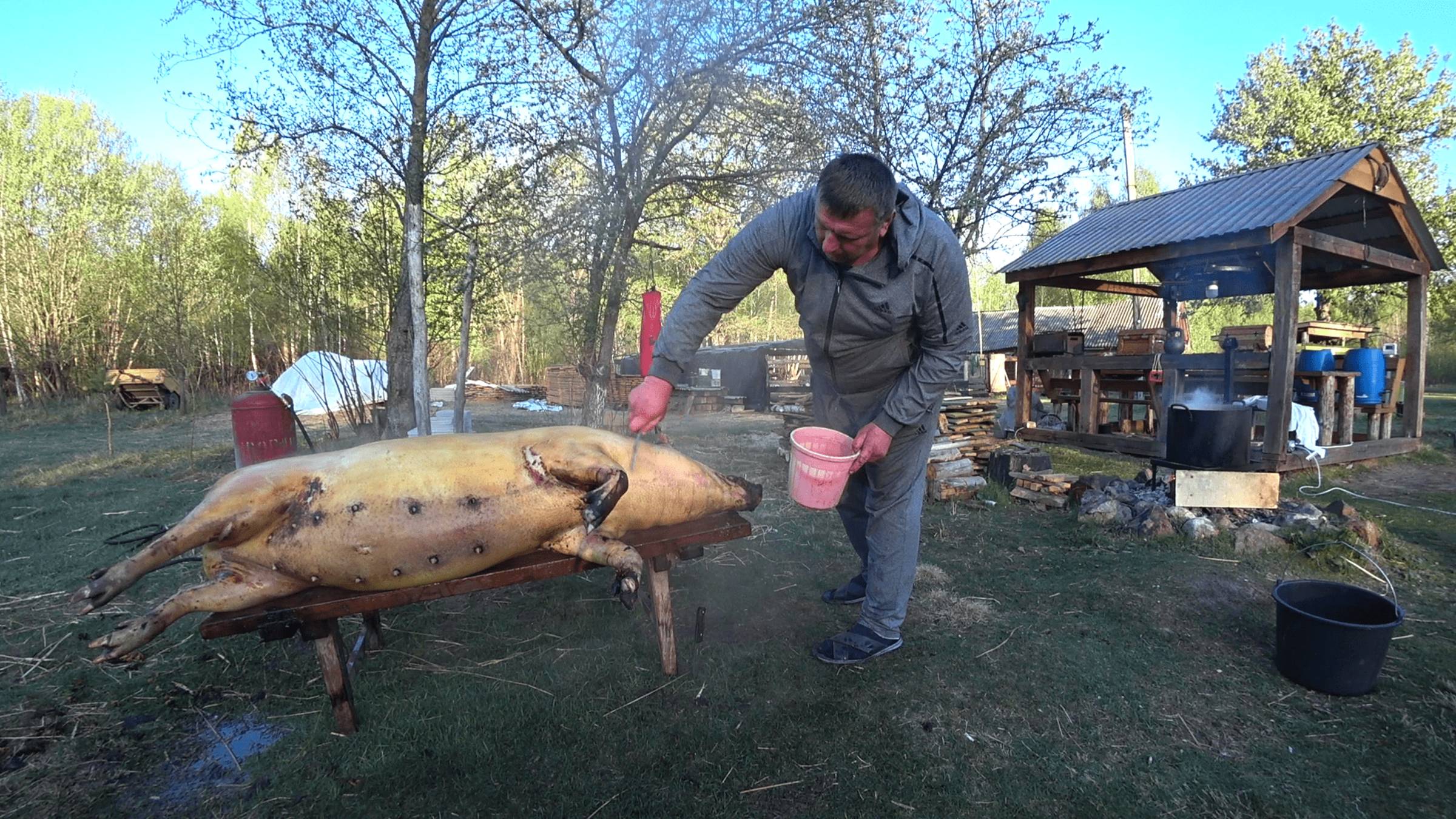 СПЕЦИАЛИСТ в ДЕЛЕ! СПОКОЙНАЯ ЖИЗНЬ в ГЛУХОЙ , ВЫМИРАЮЩЕЙ БЕЛОРУССКОЙ ДЕРЕВНЕ в ЛЕСУ. №343 смотреть онлайн
