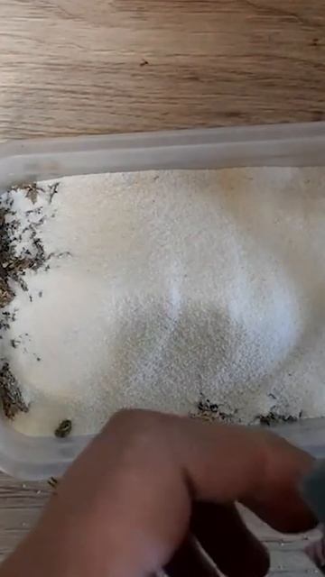 Бюджетная прикормка для рыбалки по холодной воде ☣ #Sho смотреть онлайн